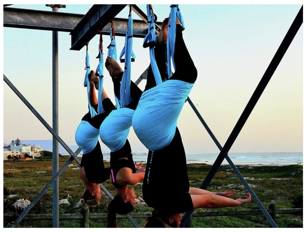Aerial hammock apparatus