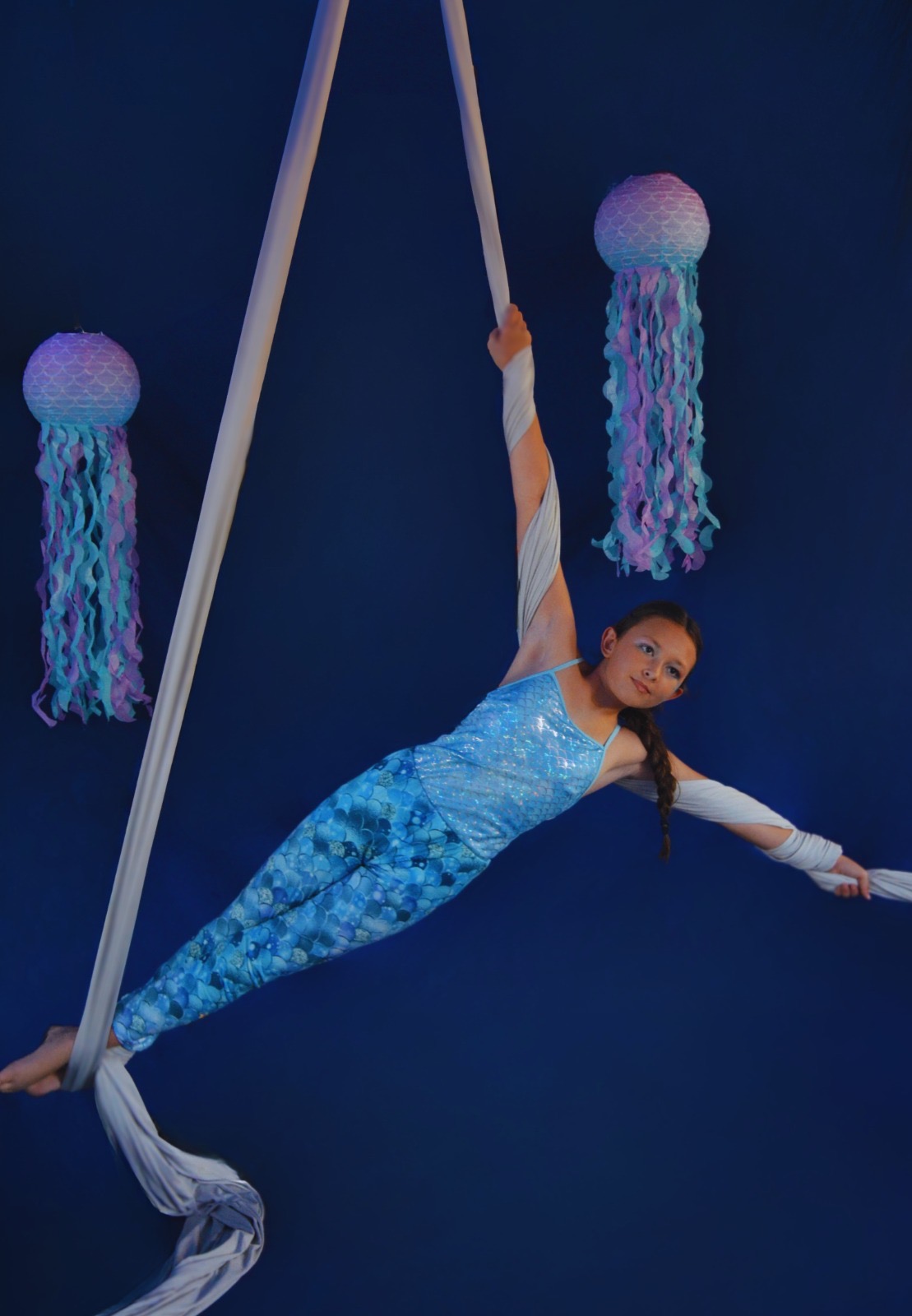 Aerial silks apparatus