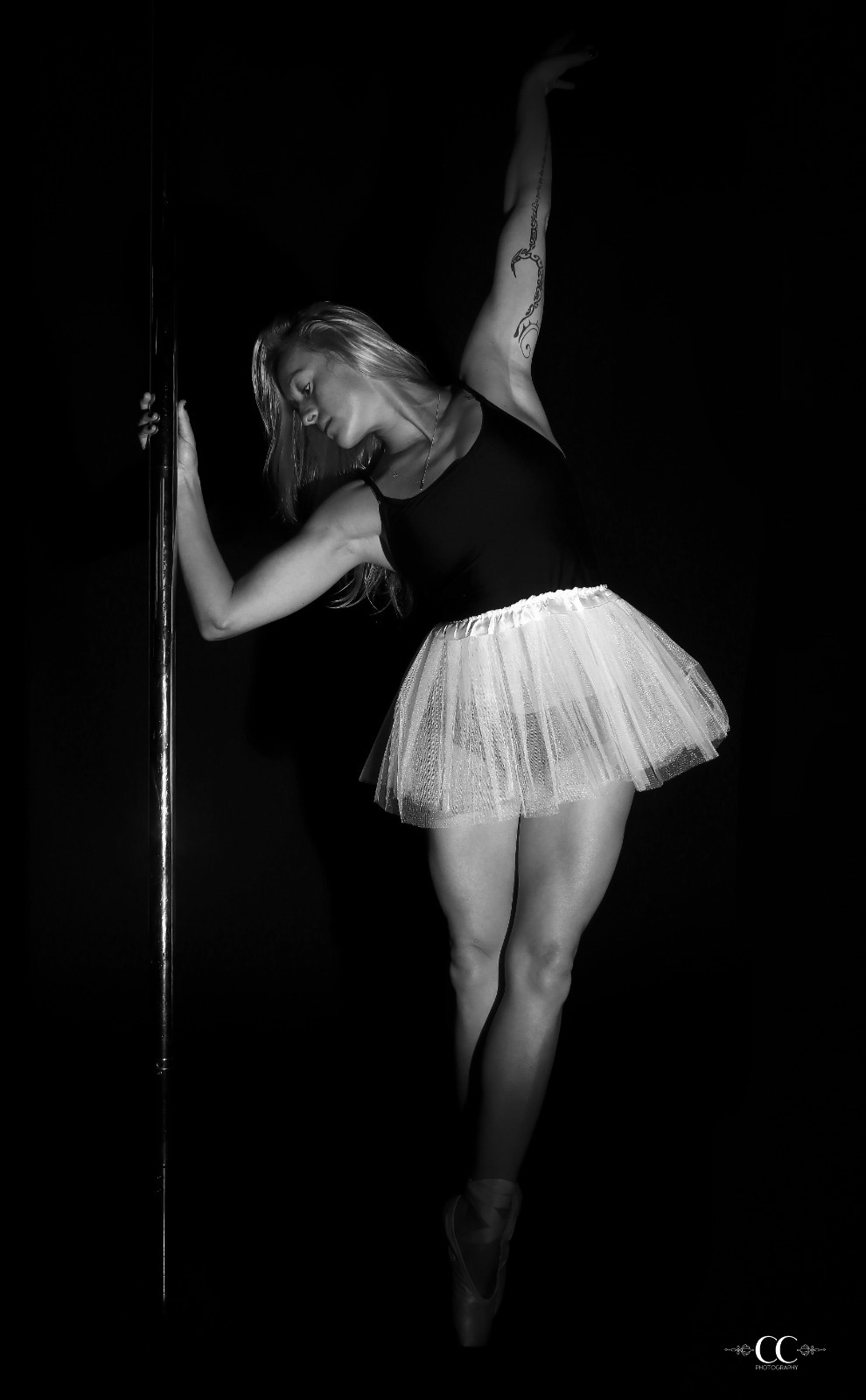 Editorial B&W aerial pole study
