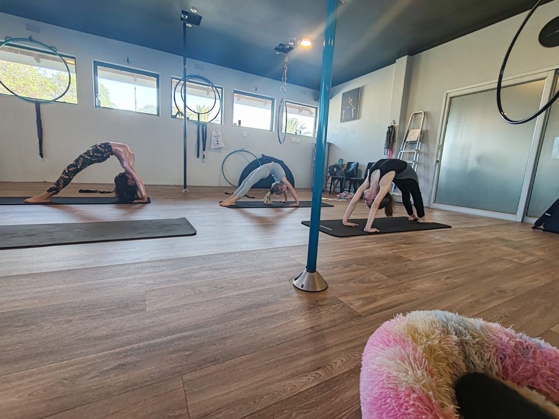 Group class practising backbends on mats in the studio